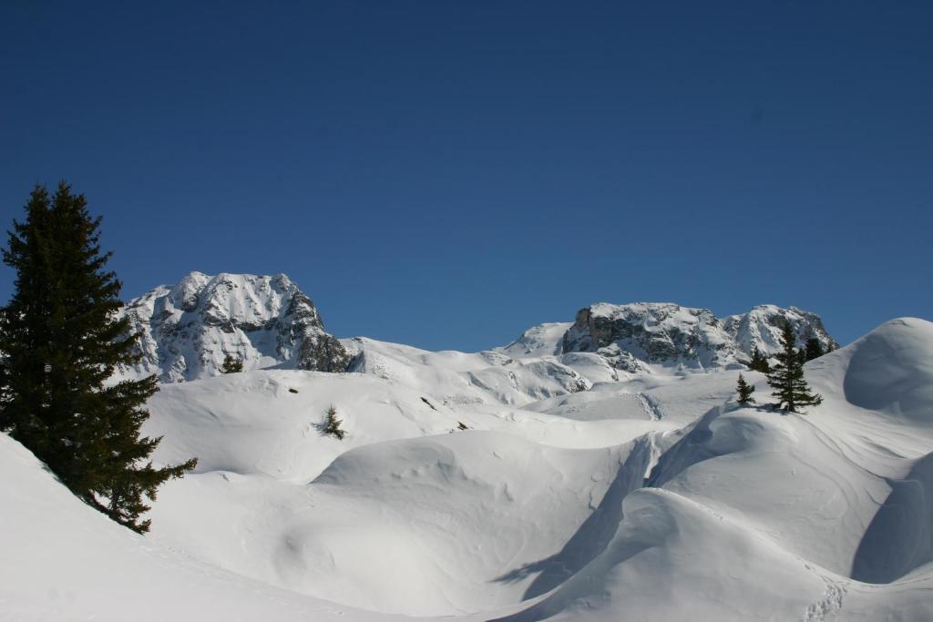 Madame Vacances Les Chalets Du Praz ラ・プラーニュ エクステリア 写真